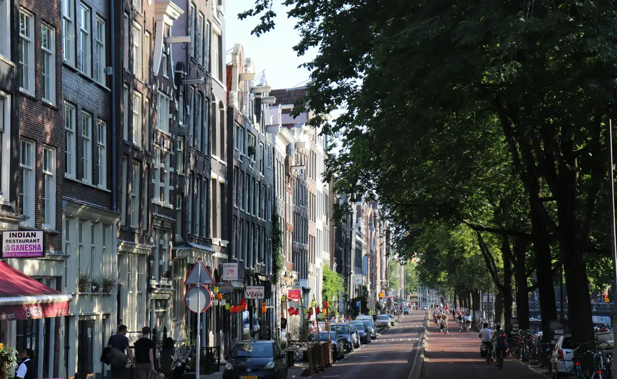 Verschillende woningen in amsterdam aan een straat met bomen met veel blad.