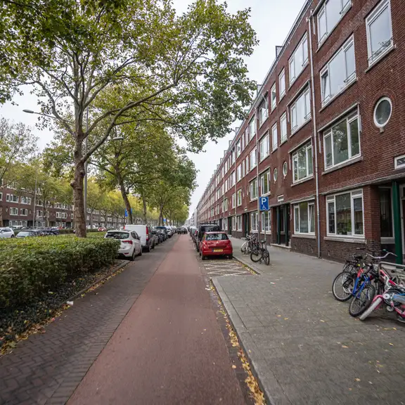 Woningen gelegen aan een roodgekleurde weg met aan de linkerkant bomen met blad.