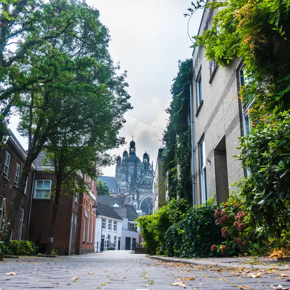 Aangezicht van den bosch