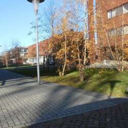 Foto #1 Huurwoning Johannes Buijslaan Eindhoven