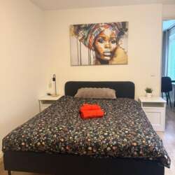Foto #4 Appartement Laan van Nieuw-Guinea Utrecht