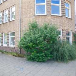 Foto #2 Kamer Rederijkerstraat Den Haag