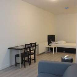 Foto #4 Kamer Paul Krügerlaan Eindhoven