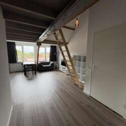 A rental house advertisment