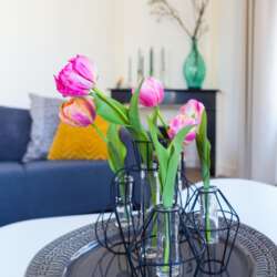 Foto #2 Appartement Choorstraat Utrecht