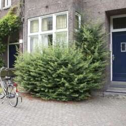 Foto #1 Kamer Tongerseweg Maastricht