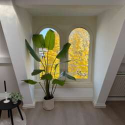 Foto #1 Studio Burgemeester Reigerstraat Utrecht