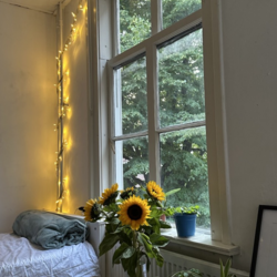 Foto #1 Kamer Annastraat Utrecht