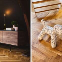 Foto #4 Appartement Twijnstraat Utrecht