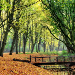 Foto #2 Appartement Marne Amstelveen