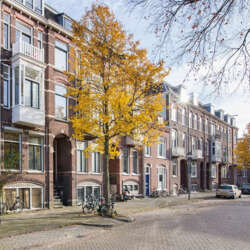 Studio Justus van Effenstraat