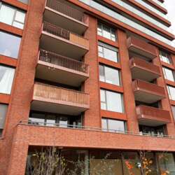 A rental house advertisment