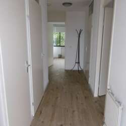Foto #4 Appartement Van Suchtelen van de Haarestraat Amsterdam