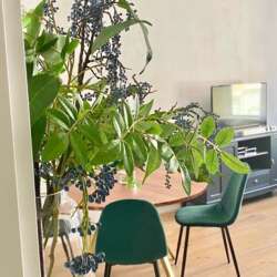 Foto #1 Appartement Mallemolen Den Haag