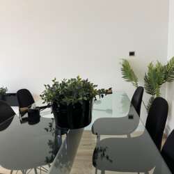 Foto #4 Appartement Stalpertstraat Den Haag