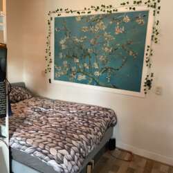 Foto #4 Kamer Deventerstraatweg Zwolle