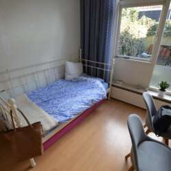 Foto #1 Kamer Borneostraat Zwolle