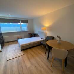 Studio Paulus Moreelsestraat