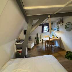 Foto #1 Kamer Borneostraat Utrecht