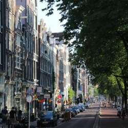 Verschillende woningen in amsterdam aan een straat met bomen met veel blad.
