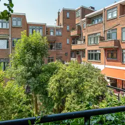 Huis Of Appartement Huren Elke Dag Nieuwe Huurwoningen Huurstunt huis-of-appartement-huren-elke-dag-nieuwe-huurwoningen-huurstunt