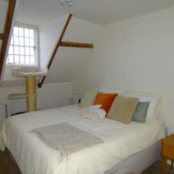 Foto #2 Appartement Wilhelminapark Tilburg