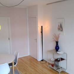 Foto #1 Appartement Cosijnstraat Leiden