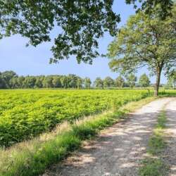 Foto #1 Studio Stationsweg Ommen