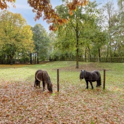 Foto #14 Appartement Oudvensestraat Mierlo