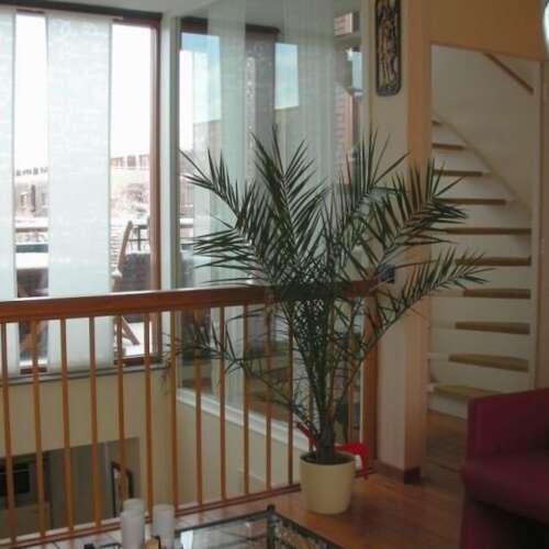 Foto #6 Huurwoning Grasmier Eindhoven