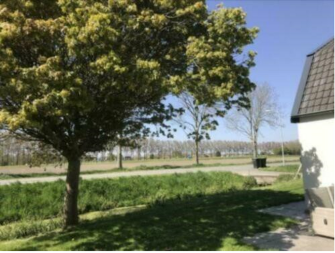 Foto #8 Huurwoning Paadje Nieuwe Niedorp