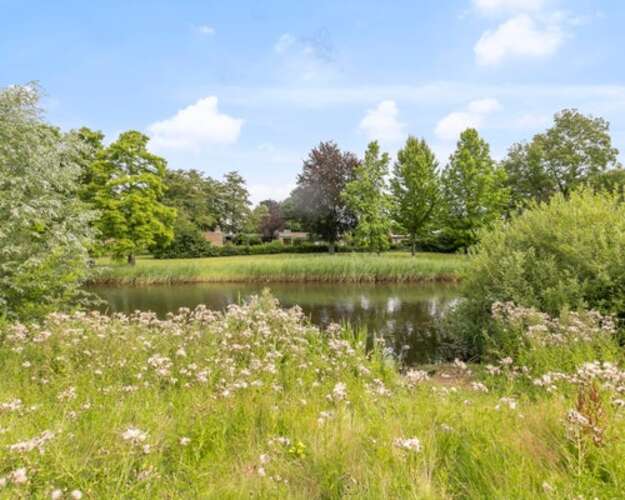 Foto #12 Kamer Admetuslaan Eindhoven