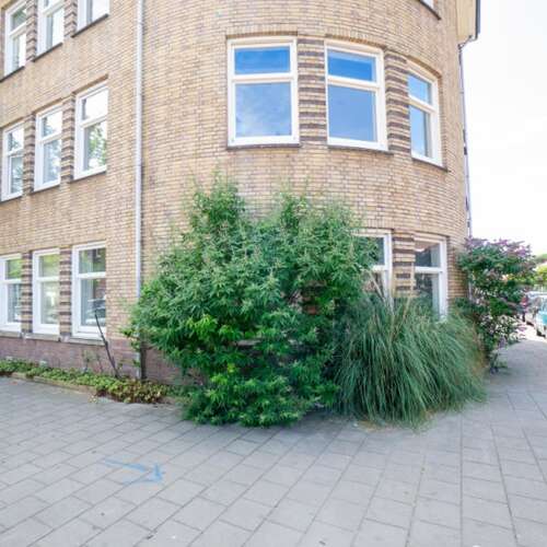 Foto #12 Kamer Rederijkerstraat Den Haag