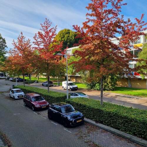 Foto #37 Appartement Dirk Schäferstraat Amsterdam