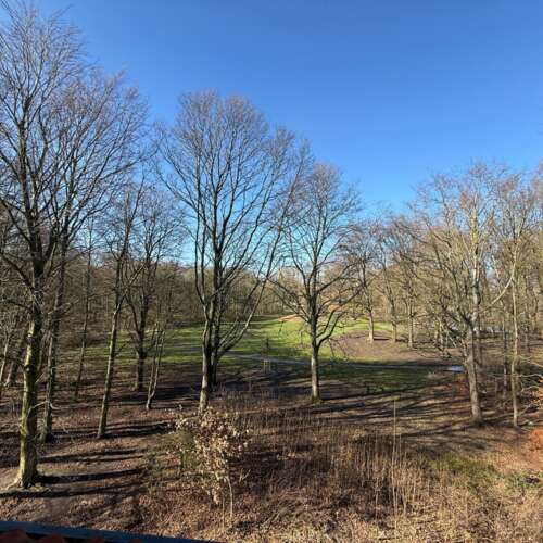 Foto #11 Appartement Orteliusstraat Amsterdam