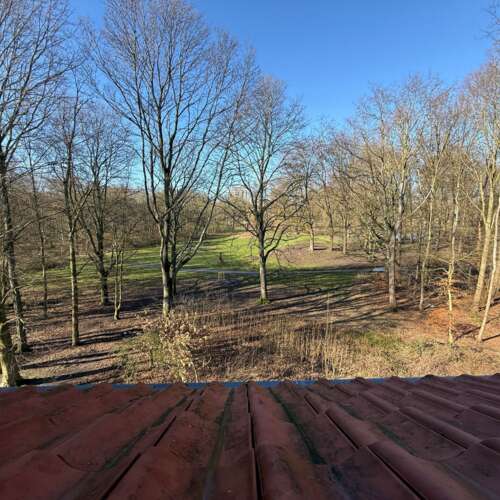 Foto #10 Appartement Orteliusstraat Amsterdam