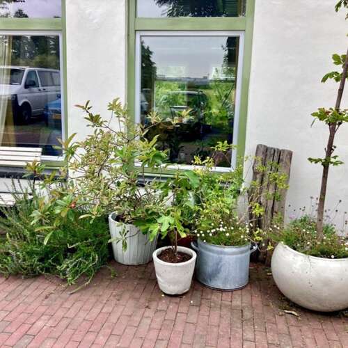 Foto #30 Huurwoning Schellingwouderdijk Amsterdam