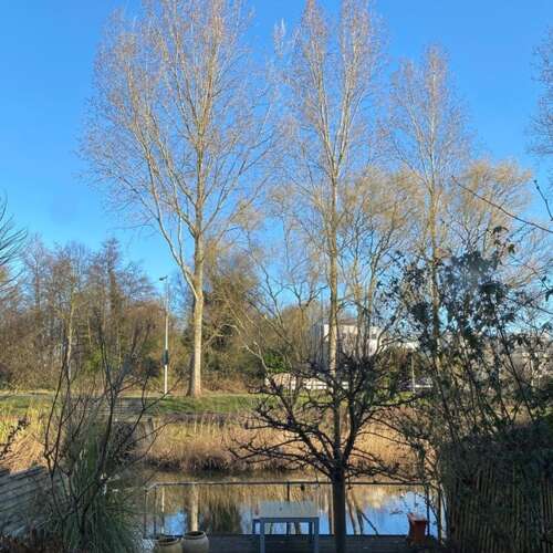 Foto #9 Huurwoning Schellingwouderdijk Amsterdam