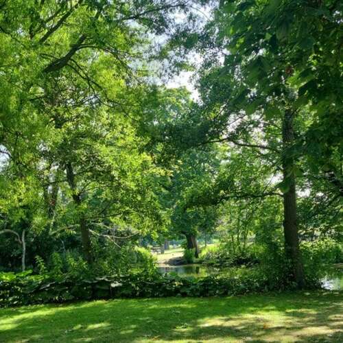 Foto #41 Huurwoning Dora Tamanaplein Amsterdam