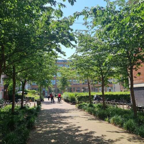 Foto #43 Huurwoning Dora Tamanaplein Amsterdam