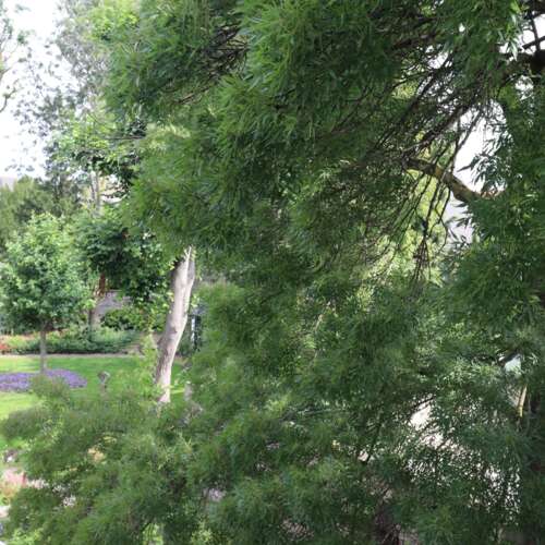 Foto #14 Appartement Witmakersstraat Maastricht