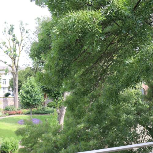 Foto #11 Appartement Witmakersstraat Maastricht