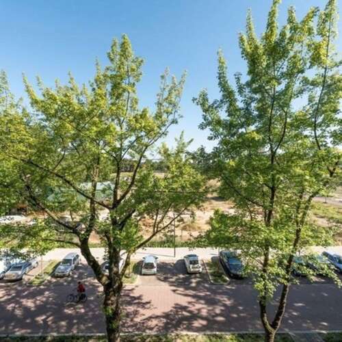 Foto #15 Appartement Koningsplein Maastricht