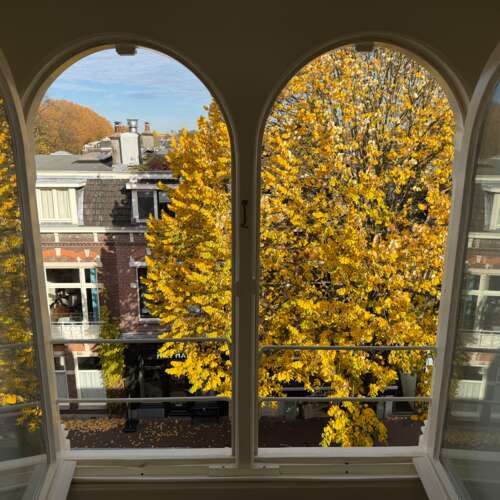 Foto #13 Studio Burgemeester Reigerstraat Utrecht