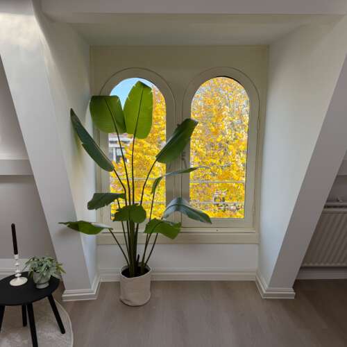 Foto #0 Studio Burgemeester Reigerstraat Utrecht