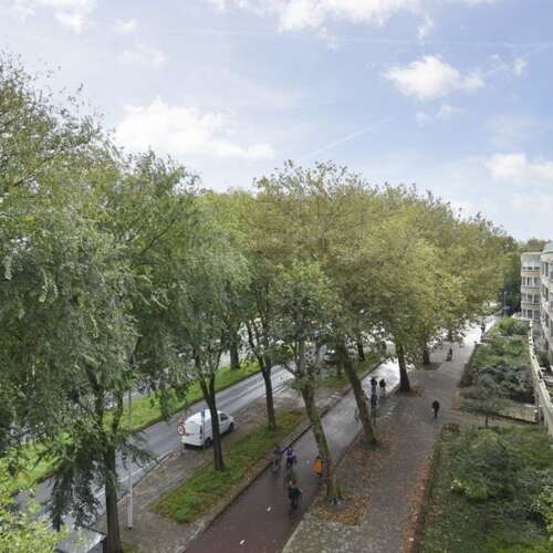 Foto #10 Appartement Thorbeckelaan Den Haag