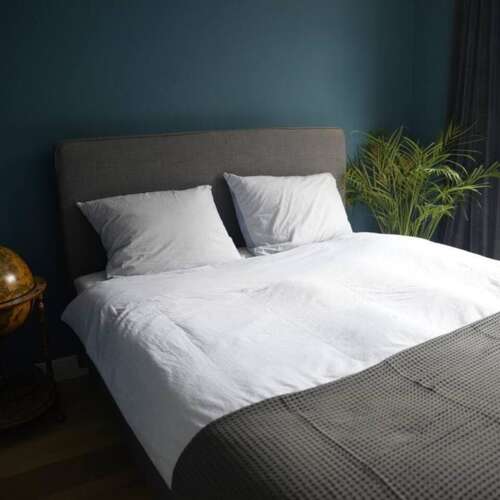 Foto #5 Appartement Schermerstraat Haarlem