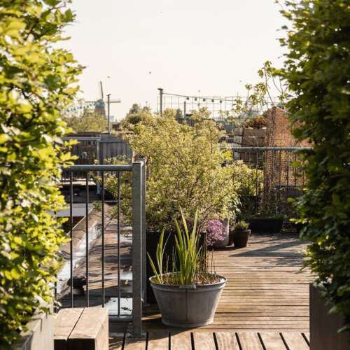 Foto #28 Appartement Blankenstraat Amsterdam