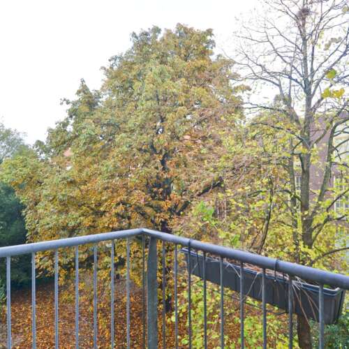 Foto #20 Appartement Nova Zemblastraat Amsterdam