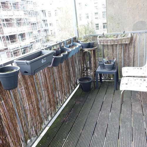 Foto #14 Appartement Gerard Doustraat Amsterdam